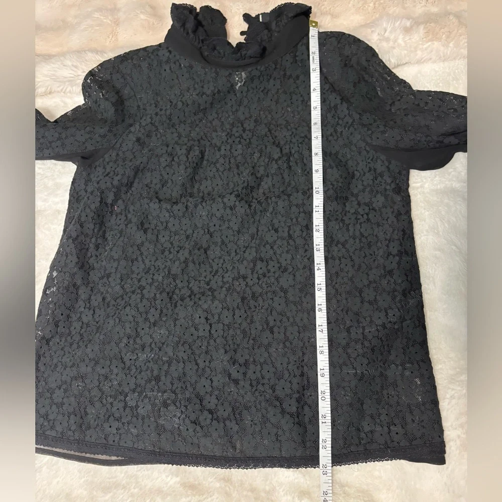 Tuckernuck Black Lace High-Neck Sheer Puff-Sleeve Quiet Luxury Blouse